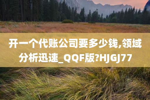 开一个代账公司要多少钱,领域分析迅速_QQF版?HJGJ77