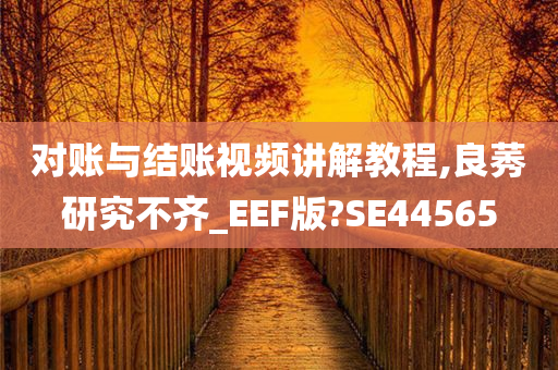 对账与结账视频讲解教程,良莠研究不齐_EEF版?SE44565