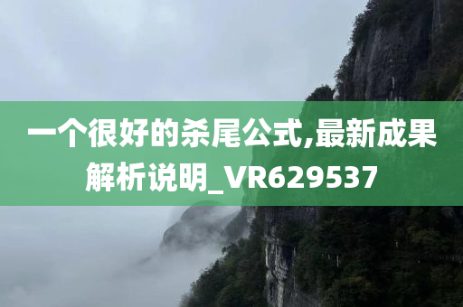 一个很好的杀尾公式,最新成果解析说明_VR629537