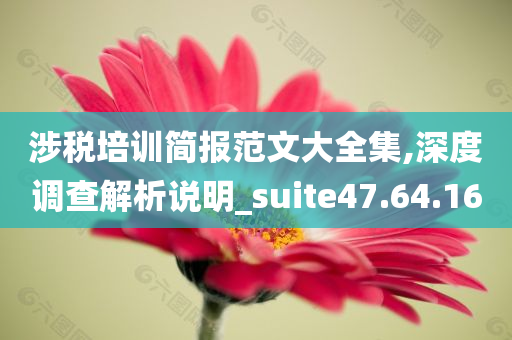 涉税培训简报范文大全集,深度调查解析说明_suite47.64.16