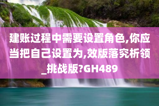 建账过程中需要设置角色,你应当把自己设置为,效版落究析领_挑战版?GH489