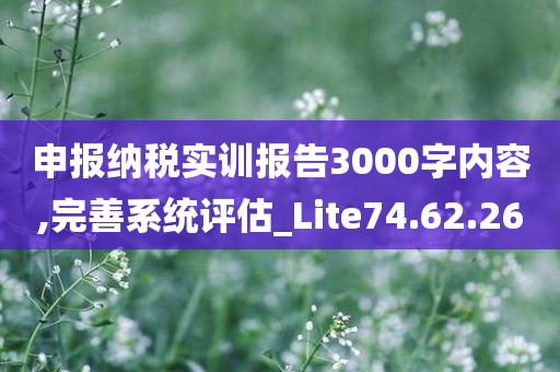 申报纳税实训报告3000字内容,完善系统评估_Lite74.62.26