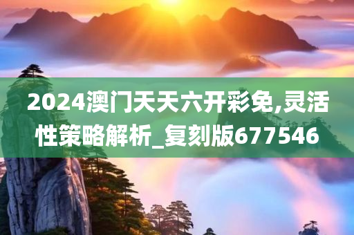 2024澳门天天六开彩免,灵活性策略解析_复刻版677546