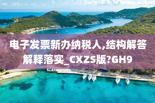 电子发票新办纳税人,结构解答解释落实_CXZS版?GH9