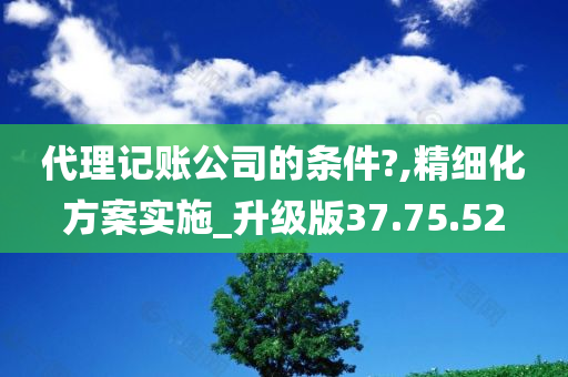 代理记账公司的条件?,精细化方案实施_升级版37.75.52