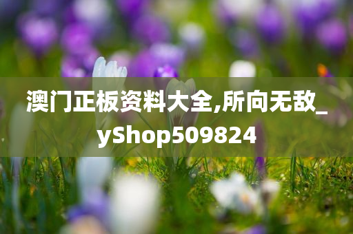 澳门正板资料大全,所向无敌_yShop509824