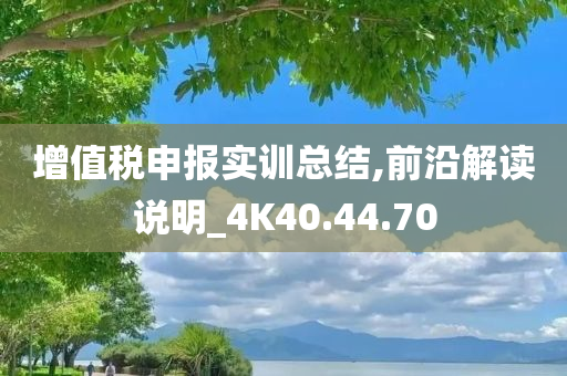 增值税申报实训总结,前沿解读说明_4K40.44.70