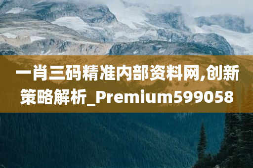 一肖三码精准内部资料网,创新策略解析_Premium599058