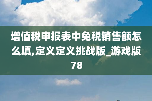 增值税申报表中免税销售额怎么填,定义定义挑战版_游戏版78