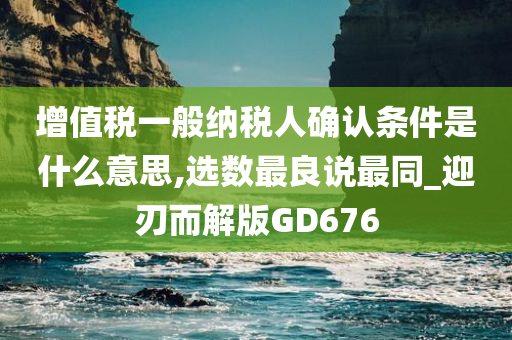 增值税一般纳税人确认条件是什么意思,选数最良说最同_迎刃而解版GD676