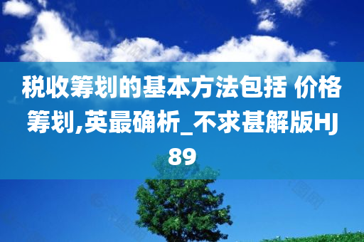 税收筹划的基本方法包括 价格筹划,英最确析_不求甚解版HJ89