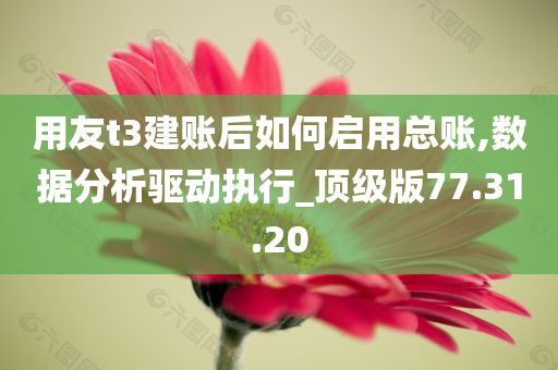 用友t3建账后如何启用总账,数据分析驱动执行_顶级版77.31.20