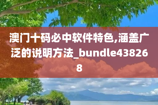 澳门十码必中软件特色,涵盖广泛的说明方法_bundle438268