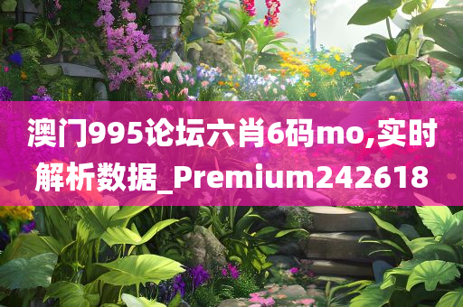 澳门995论坛六肖6码mo,实时解析数据_Premium242618