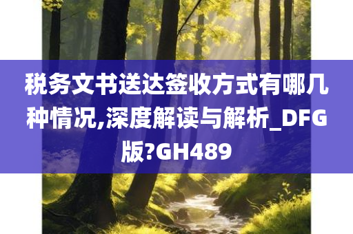 税务文书送达签收方式有哪几种情况,深度解读与解析_DFG版?GH489