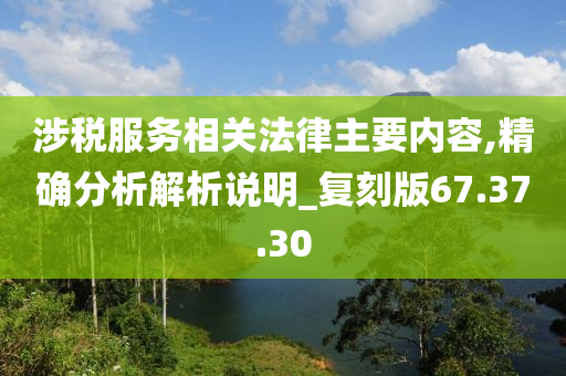 涉税服务相关法律主要内容,精确分析解析说明_复刻版67.37.30