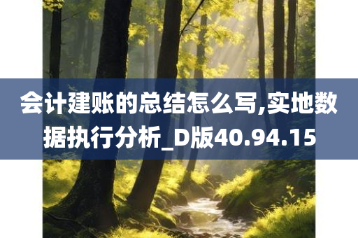 会计建账的总结怎么写,实地数据执行分析_D版40.94.15