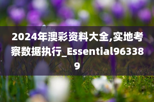 2024年澳彩资料大全,实地考察数据执行_Essential963389