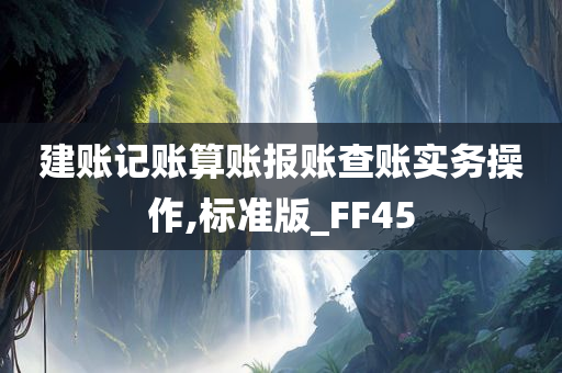 建账记账算账报账查账实务操作,标准版_FF45