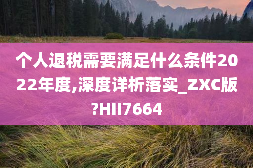 个人退税需要满足什么条件2022年度,深度详析落实_ZXC版?HII7664