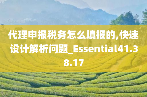 代理申报税务怎么填报的,快速设计解析问题_Essential41.38.17