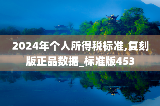 2024年个人所得税标准,复刻版正品数据_标准版453