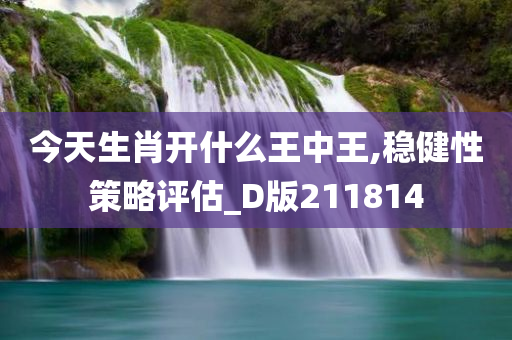 今天生肖开什么王中王,稳健性策略评估_D版211814