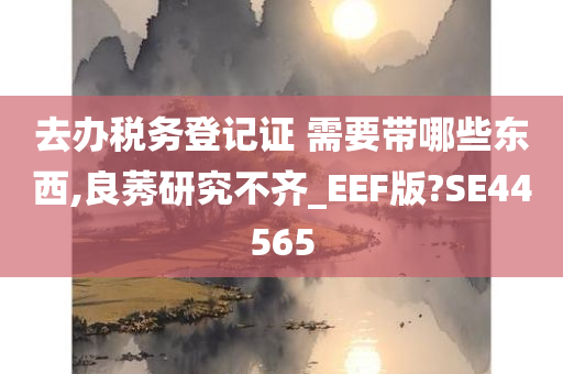 去办税务登记证 需要带哪些东西,良莠研究不齐_EEF版?SE44565