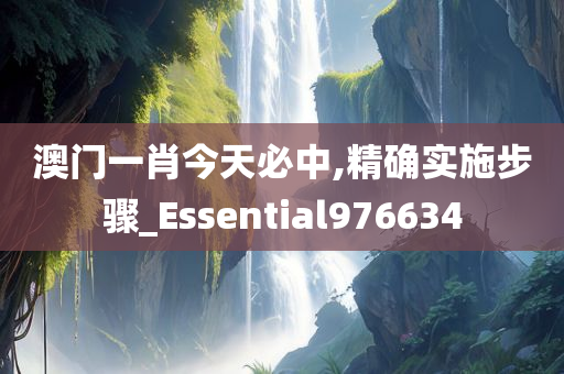 澳门一肖今天必中,精确实施步骤_Essential976634