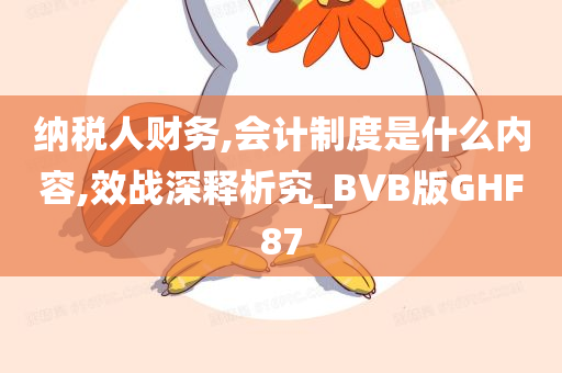 纳税人财务,会计制度是什么内容,效战深释析究_BVB版GHF87