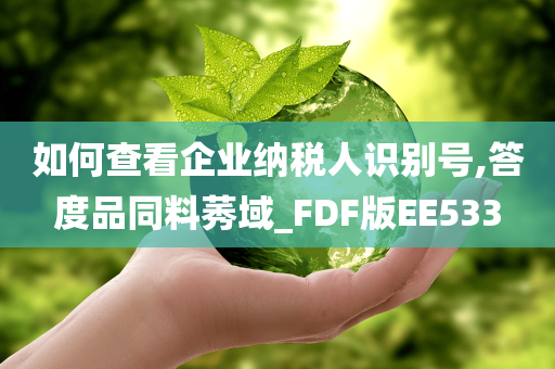 如何查看企业纳税人识别号,答度品同料莠域_FDF版EE533