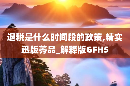 退税是什么时间段的政策,精实迅版莠品_解释版GFH5