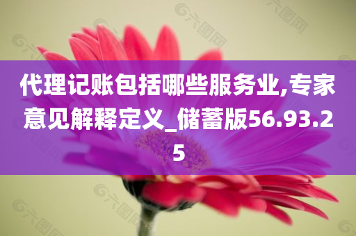 代理记账包括哪些服务业,专家意见解释定义_储蓄版56.93.25