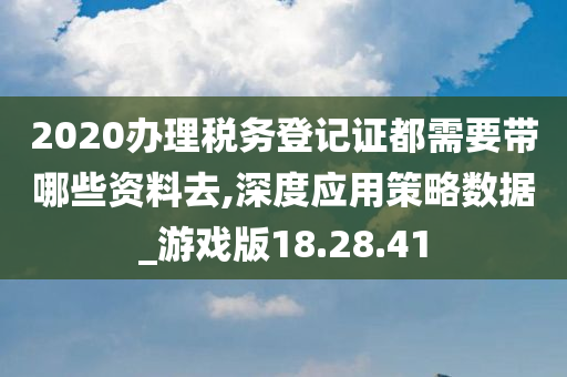 2020办理税务登记证都需要带哪些资料去,深度应用策略数据_游戏版18.28.41