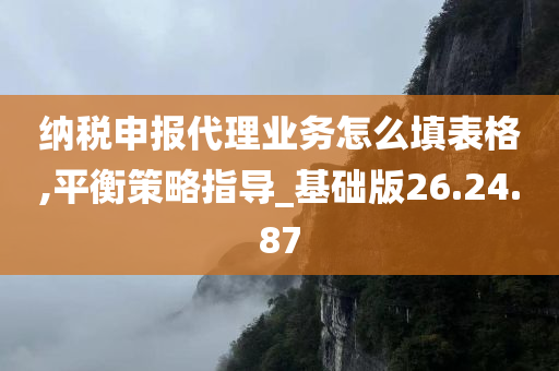 纳税申报代理业务怎么填表格,平衡策略指导_基础版26.24.87