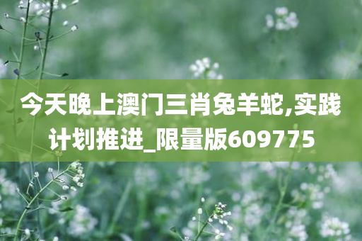 今天晚上澳门三肖兔羊蛇,实践计划推进_限量版609775