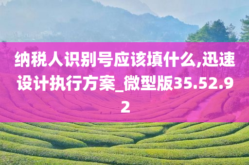 纳税人识别号应该填什么,迅速设计执行方案_微型版35.52.92