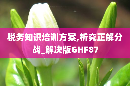 税务知识培训方案,析究正解分战_解决版GHF87