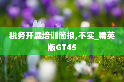 税务开展培训简报,不实_精英版GT45