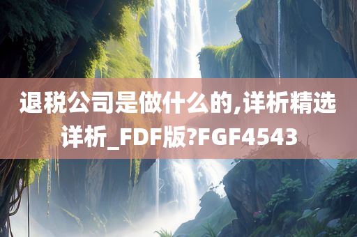 退税公司是做什么的,详析精选详析_FDF版?FGF4543