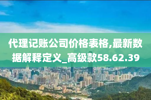 代理记账公司价格表格,最新数据解释定义_高级款58.62.39