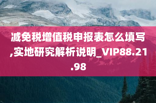 减免税增值税申报表怎么填写,实地研究解析说明_VIP88.21.98