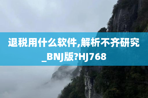 退税用什么软件,解析不齐研究_BNJ版?HJ768