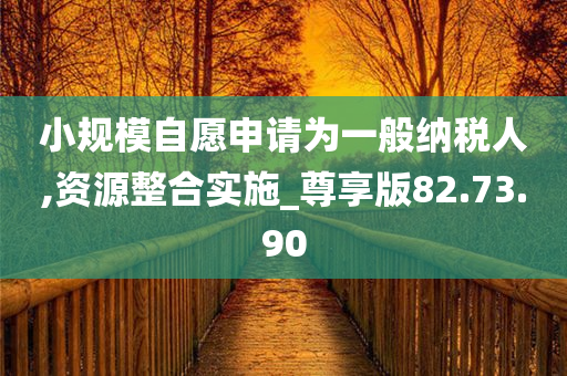 小规模自愿申请为一般纳税人,资源整合实施_尊享版82.73.90