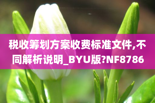 税收筹划方案收费标准文件,不同解析说明_BYU版?NF8786