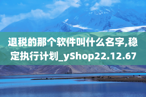 退税的那个软件叫什么名字,稳定执行计划_yShop22.12.67