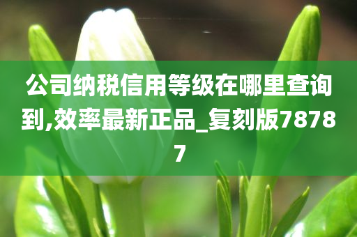 公司纳税信用等级在哪里查询到,效率最新正品_复刻版78787