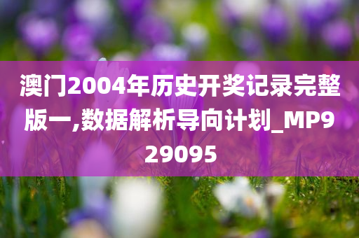 澳门2004年历史开奖记录完整版一,数据解析导向计划_MP929095