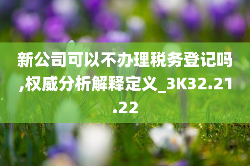 新公司可以不办理税务登记吗,权威分析解释定义_3K32.21.22