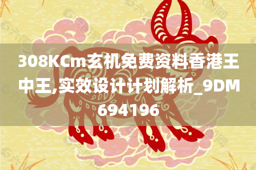 308KCm玄机免费资料香港王中王,实效设计计划解析_9DM694196